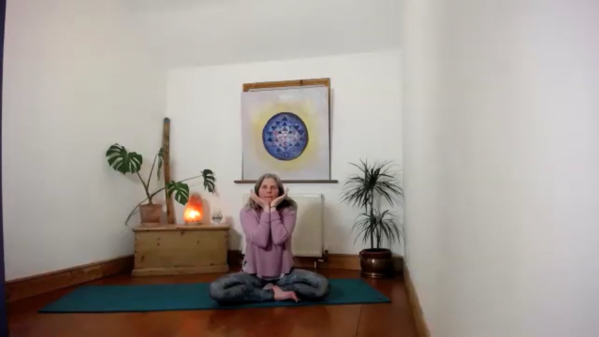 multilevel wk3 head to Toe