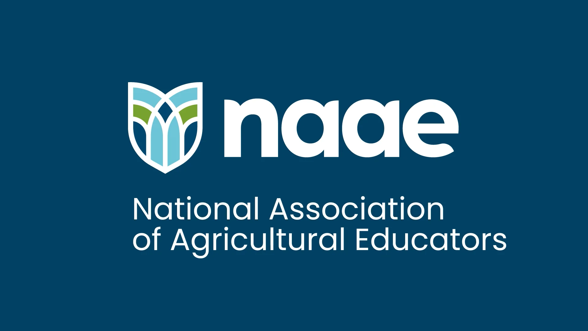Home - NAAE