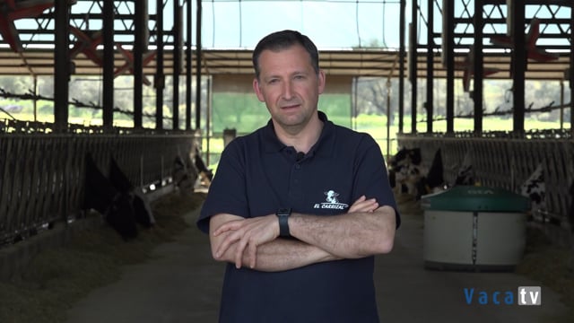 Dos robots de ordeño que alcanzan producciones diarias de 3.500 kg de leche por box
