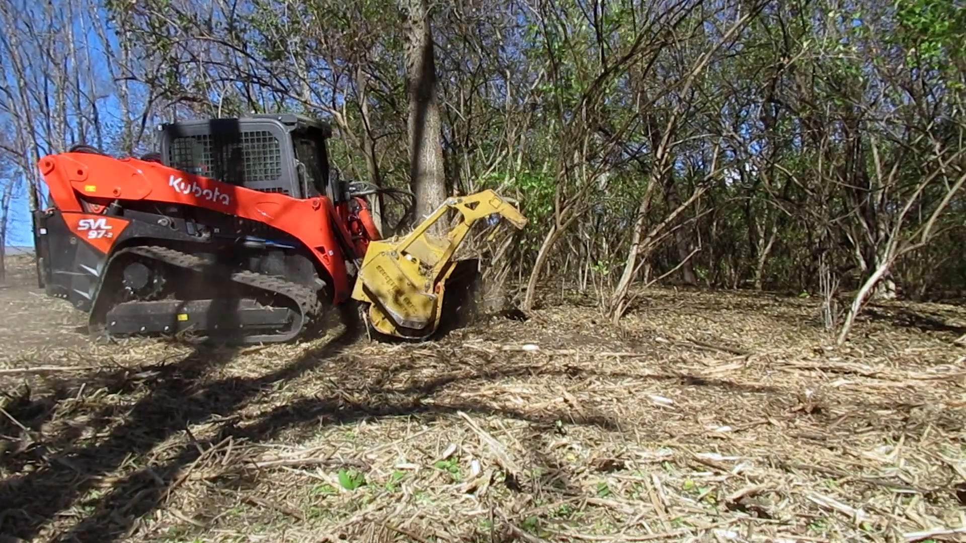 Ground Up Trees