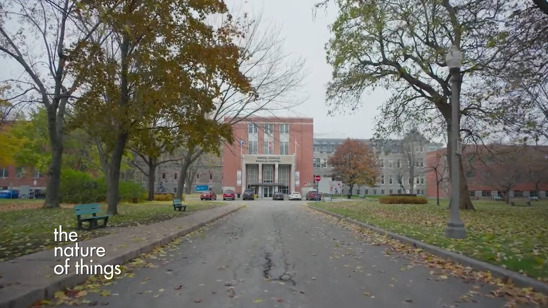 The Nature of Things - Love Hurts