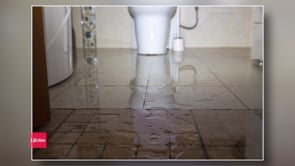 Redefine Your Bathroom Routine: What Not to Flush