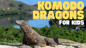 Vimeo Thumbnail