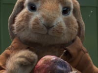 Adventure 2:25 - International