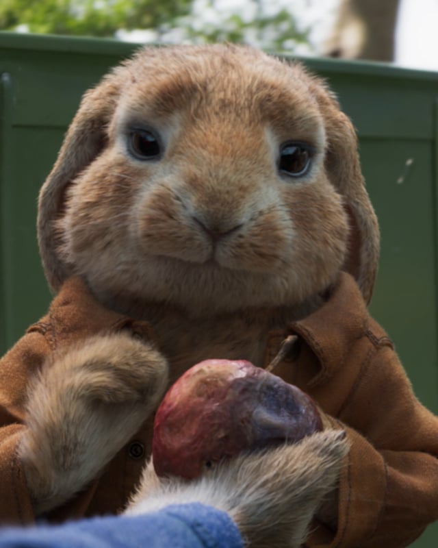 Adventure 2:25 - International