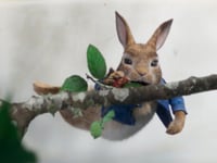 Adventure :95 - International