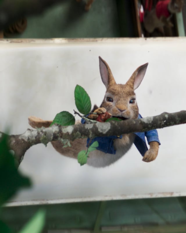 Adventure :95 - International