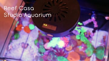 Studio 12 Nano Reef Tank Mark II