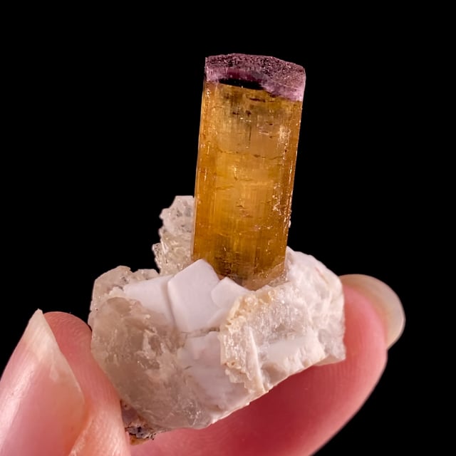 Tourmaline (rare color) with Microcline and Quartz