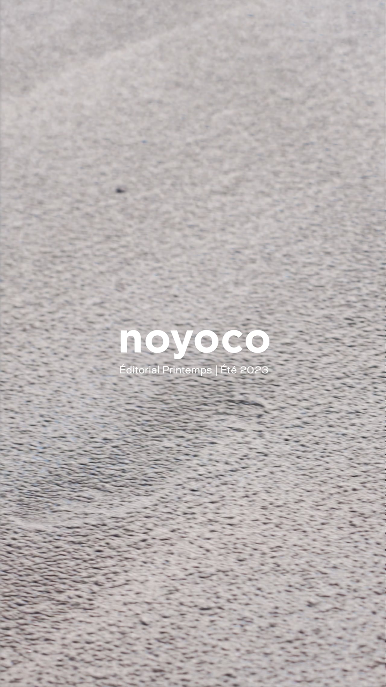 Noyoco Edito