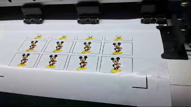 Vinyl Print and Cut demonstration