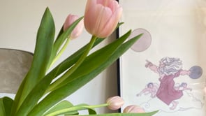 Related Embedded Video Item Thumbnail