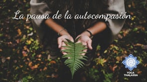 Meditación: La pausa de la autocompasión