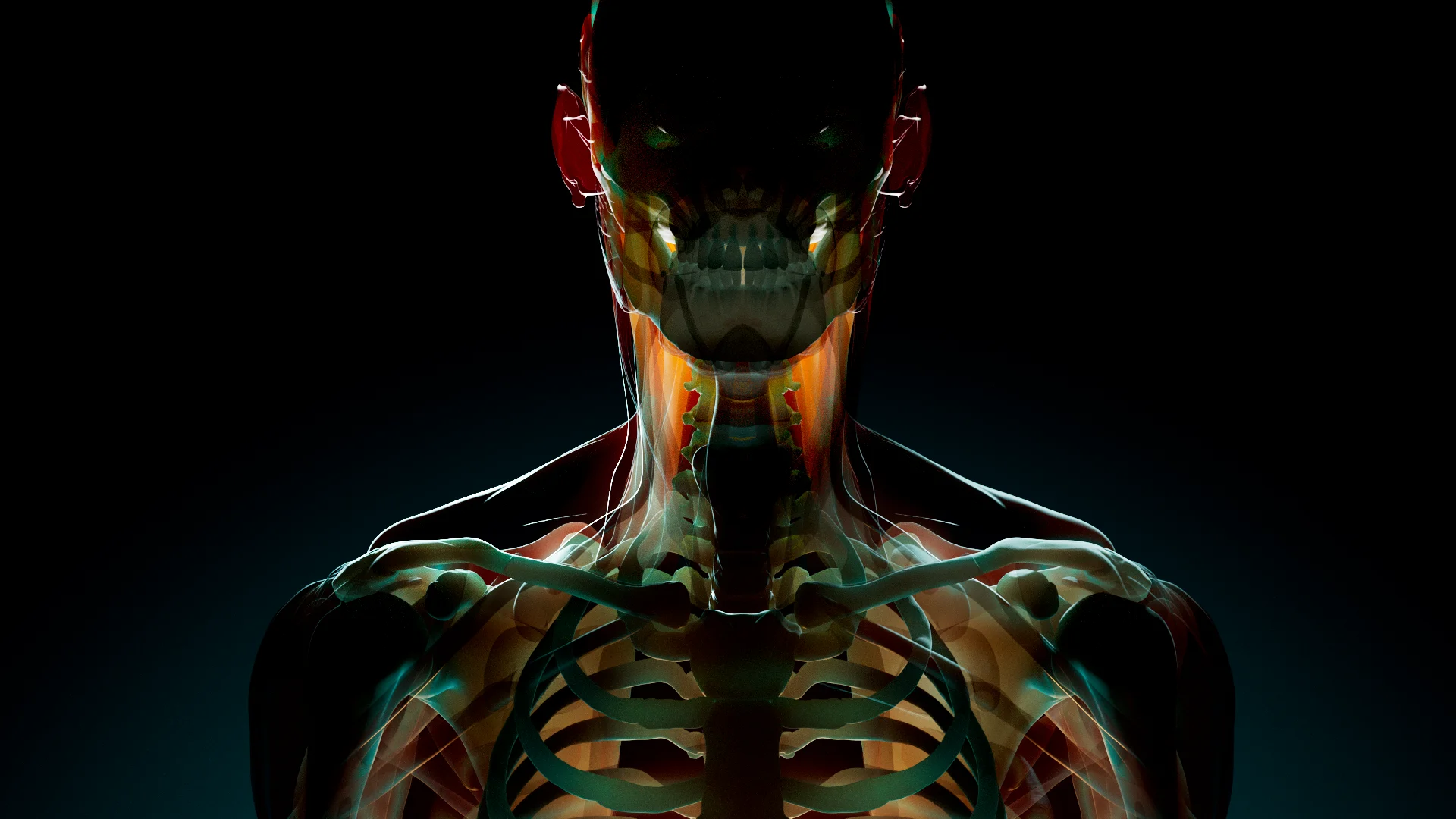COMPLETE ANATOMY DEMOS FOR EDUCATORS ON VIMEO visual data 3