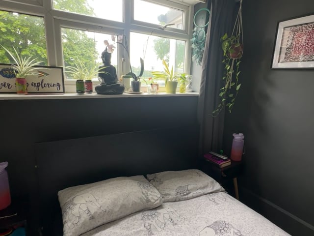 Double Room in a Shared House LGBTQ+ friendly Main Photo
