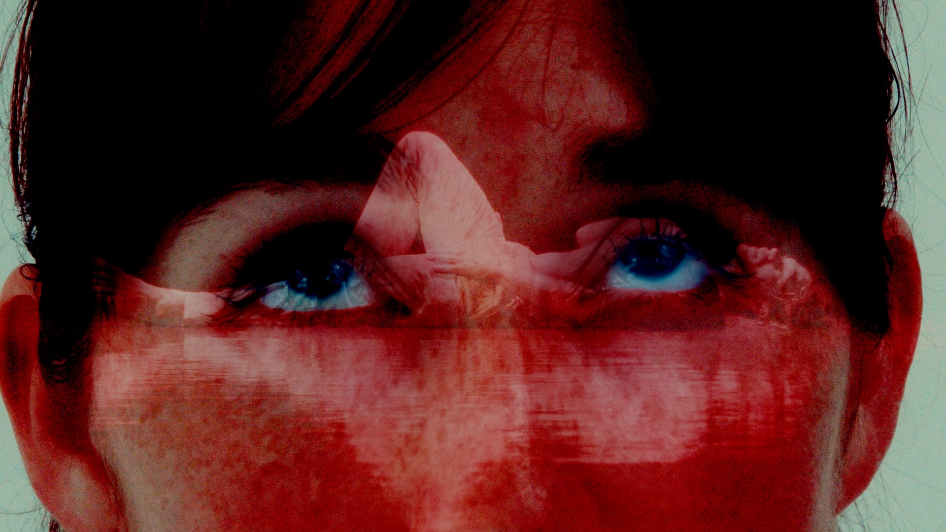 Where the Way was Lost