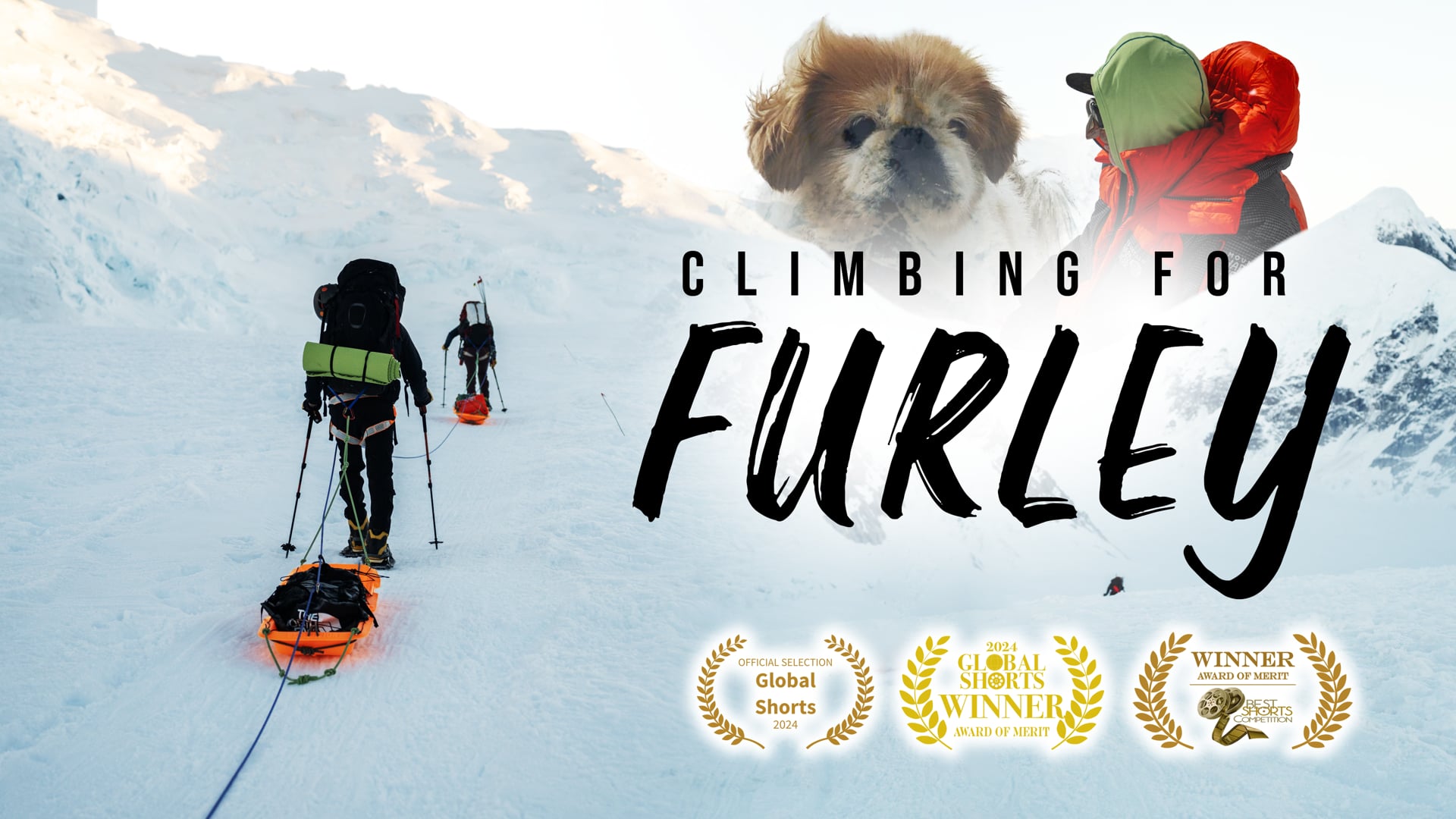 Climbing For Furley - Award Winning Documentary Short | Teaser 2024