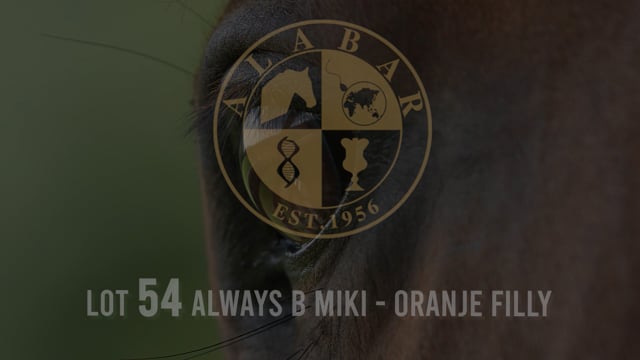 Lot 54