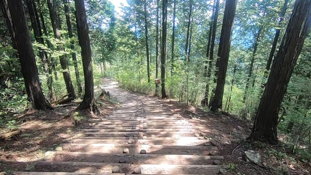 登山道１(60P)のサムネイル画像