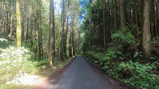 登山道３(60P)のサムネイル画像