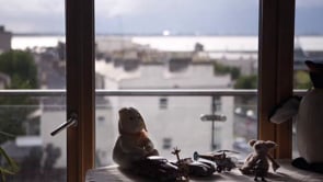 Film Titles / Opening Sequences