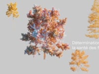 STDL - SwissTopo - Motion 3D