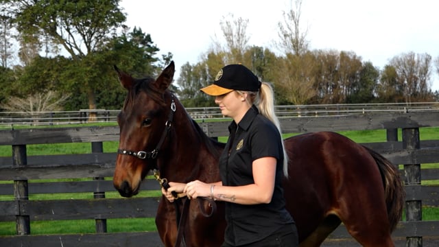 2024 National Weanling Sale | Jamie Bartlett - Alabar Farms