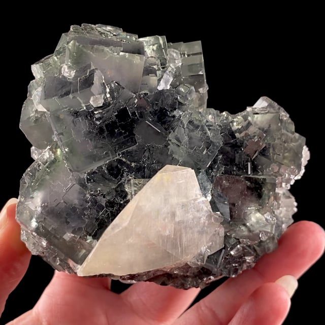 Fluorite (GEMMY crystals) with Calcite