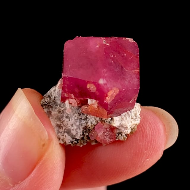 Grossular (''Raspberry Garnet'') | Sierra de la Cruz, Mun. de Sierra ...
