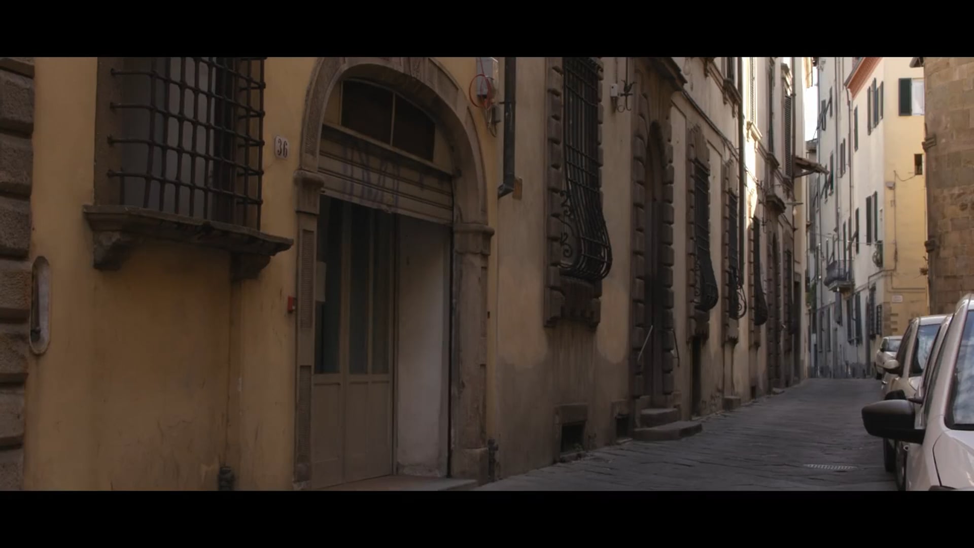 The Trophy of a Sapling