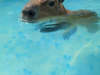 Antonio & The Power of Positivity