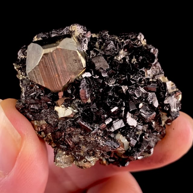 Pyrite with Enargite