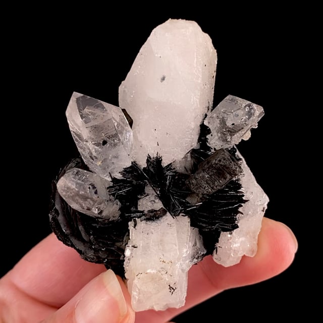 Hematite (''roses'') with Quartz and Todorokite pseudomorph ...