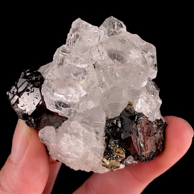 Fluorite (GEMMY crystals) with Sphalerite