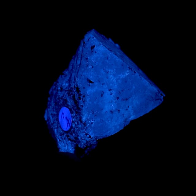 Scheelite (good sized crystal) (flourescent)