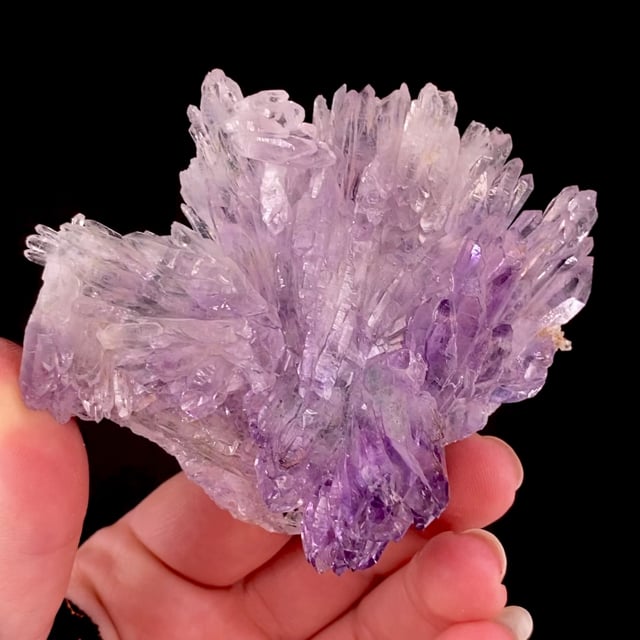 Quartz var: Amethyst ''flower''