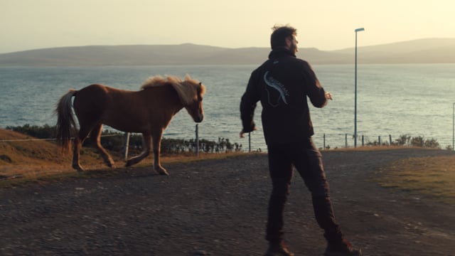 TV & Film – Atlavík