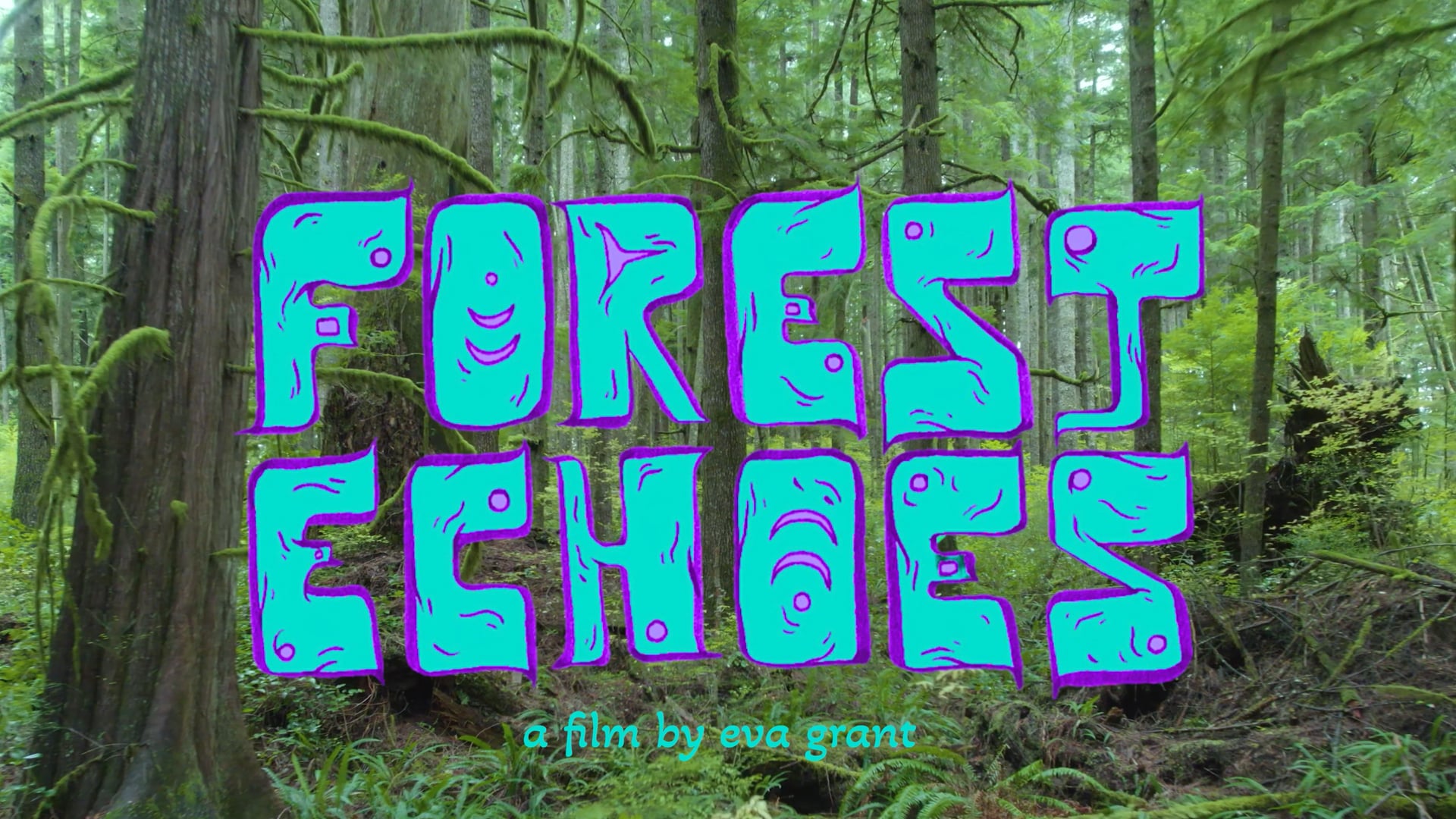 Forest Echoes Trailer