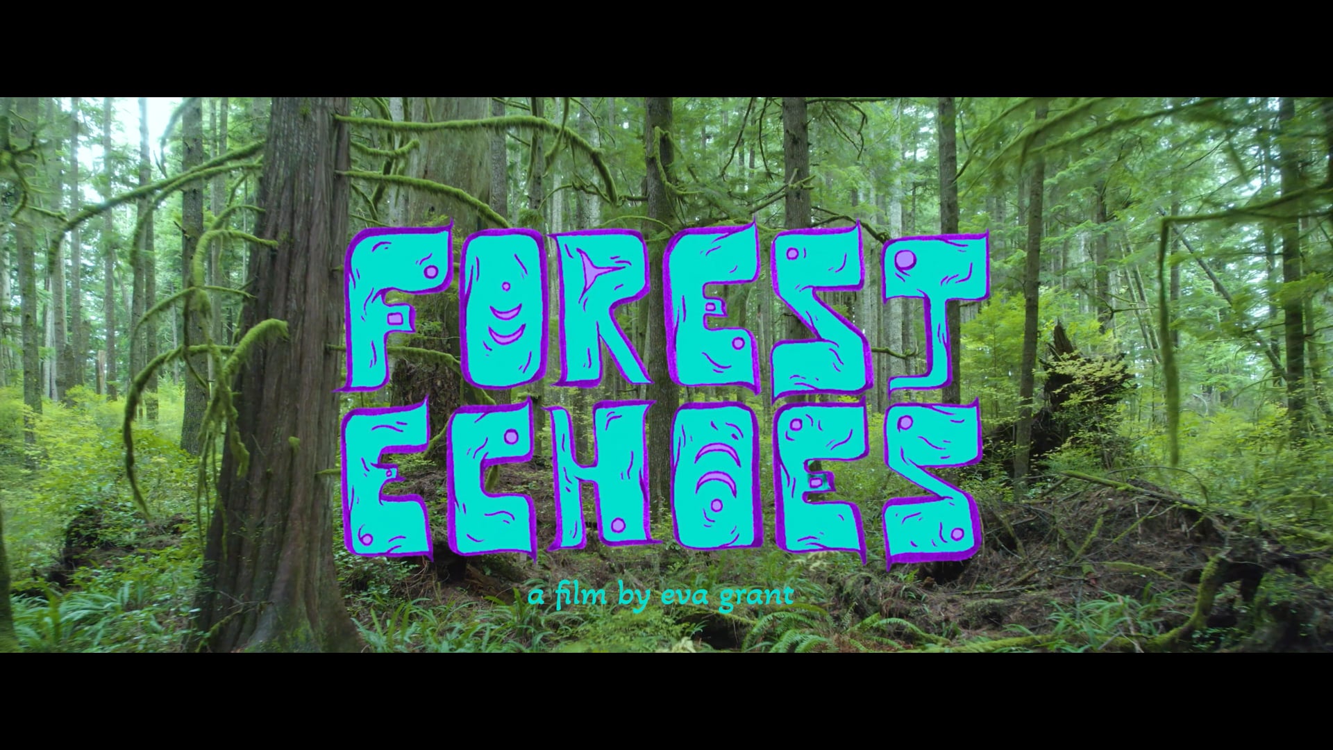 Forest Echoes Trailer