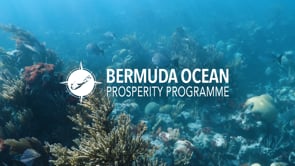 Bermuda Ocean Prosperity Programme