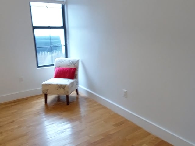 Room with private bath in Greenpoint + shared yard Main Photo