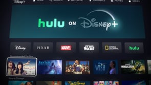 Danny Dessner - NEW KID for Hulu on Disney+