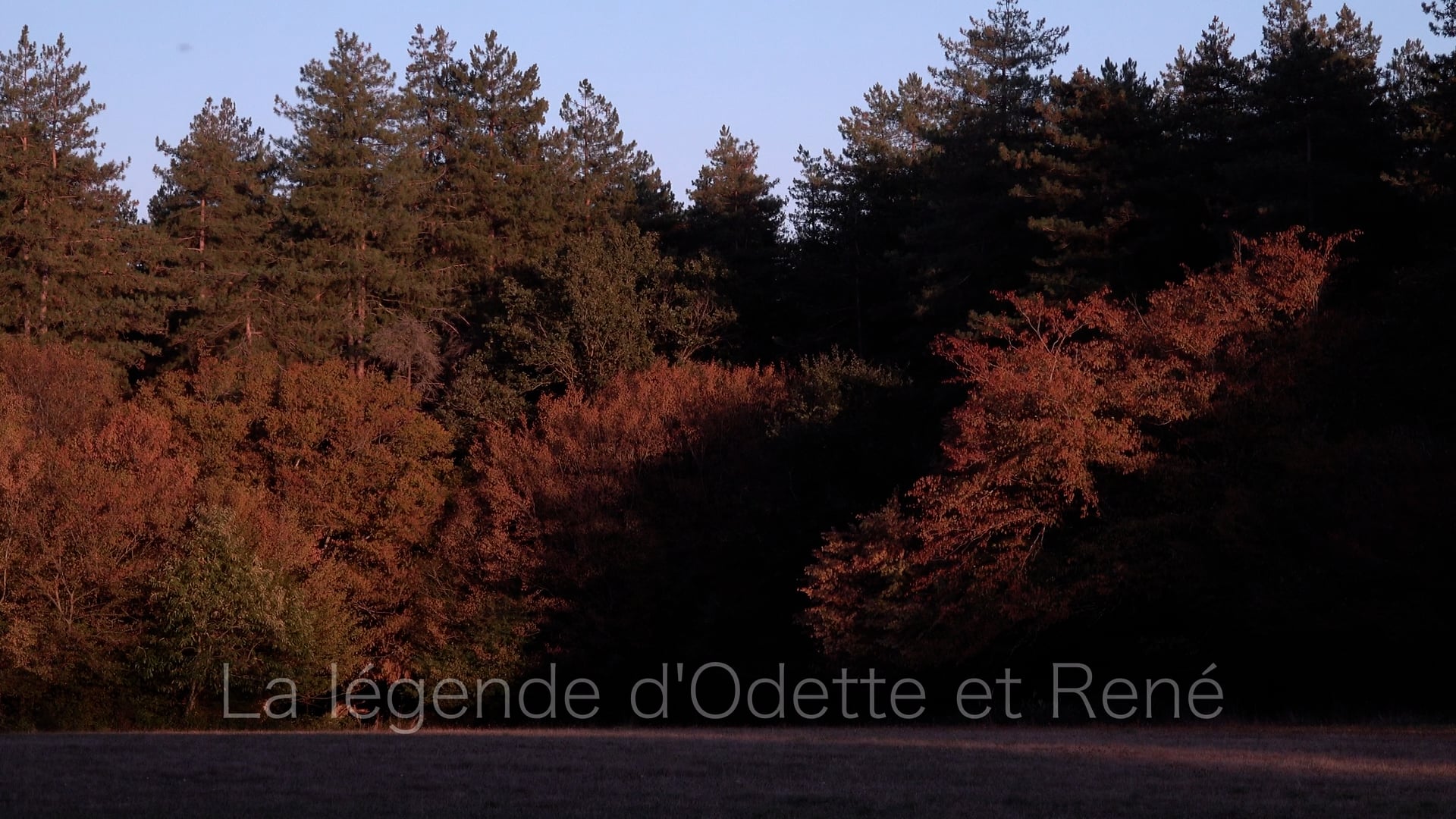 03_ODETTE RENE_EXPORT_HD