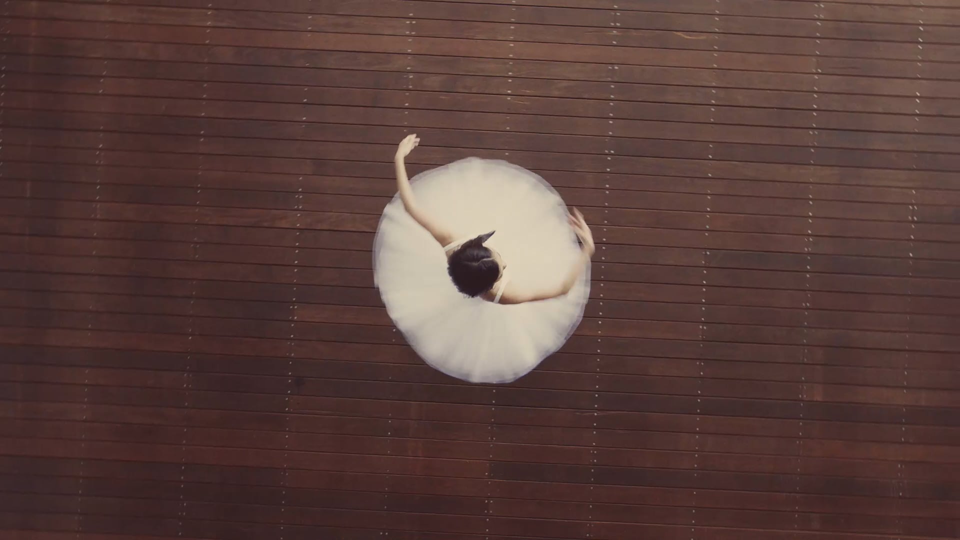 JT "多様性の尊重" :30