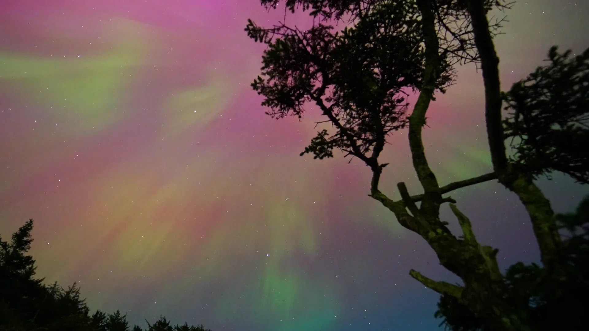 Northern Lights Sample