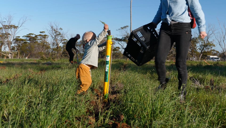 Activate Tree Planting Festival 2022