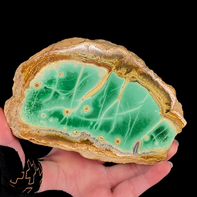 Variscite with Crandallite and Wardite (classic locality)