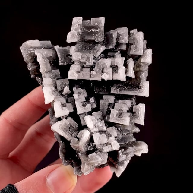 Halite with Organic material inclusions
