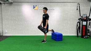 Knee Stability - RFE w/Hit MB / Aqua Bag