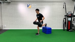 Knee Stability - RFE w/Horiz Swing / Aqua Bag